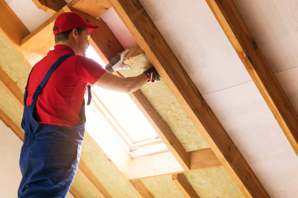 Best Insulation Air Sealing  in Belleview, FL